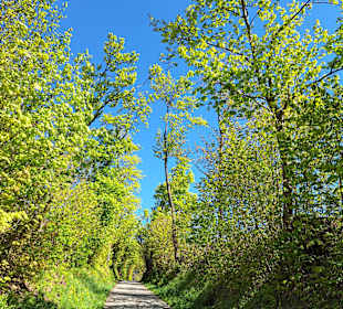 Wandern Aigen-Schlägl