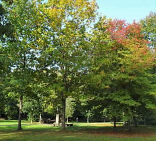 Herbststimmung im Bremer Bürgerpark