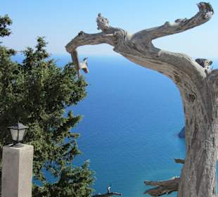 Phantastische Aussicht Tsambika