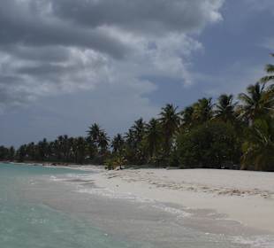 Saona