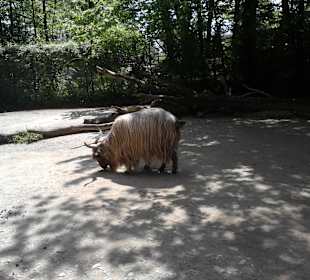  Tierpark Hellabrunn