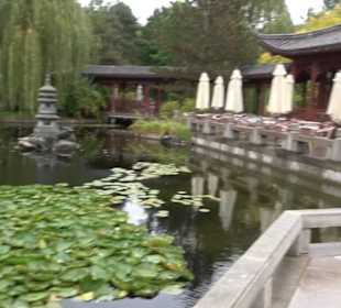 Chinesischer Garten