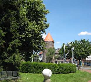 Kardinal-Graf-von-Galen-Park 