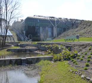 Universitätsbibliothek – im Garten