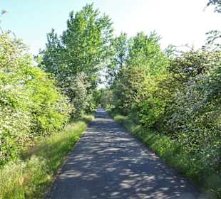 Auf dem Jan-Reiners-Weg durch das Hollerland