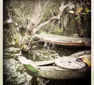 Jezioro Tonle Sap
