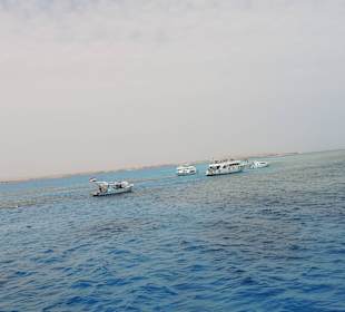 Schöne Riffe in Hotelnähe