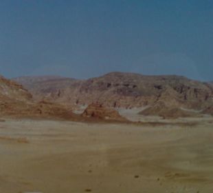 Sinai