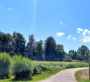 Wildgarten