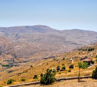 Nationalmuseum des versteinerten Waldes