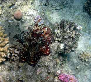 Und wieder anders anzusehen