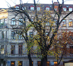 Seitenstrasse