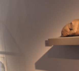 Museum für Vor- und Frühgeschichte