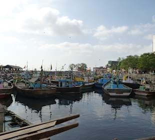 Hier kommen die frischen Fische an