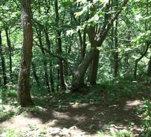 Premiumwanderweg "hochgelegen"