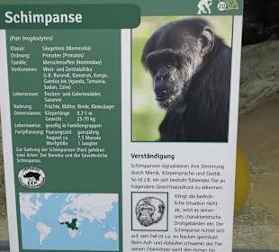 Zoologischer Stadtgarten