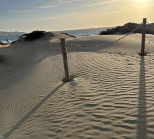 Dünen von Maspalomas