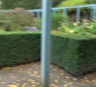 Karl-Foerster-Garten