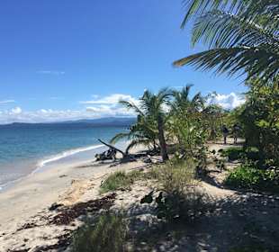 Im Cahuita Nationalpark