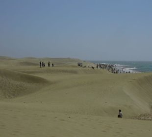 "Völkerwanderung" zwischen PdI und Maspalomas