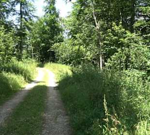 Naturerlebnispfad Sternberg