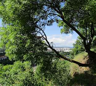 Cetatuia Park