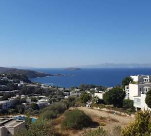 Aussicht vom Migros...