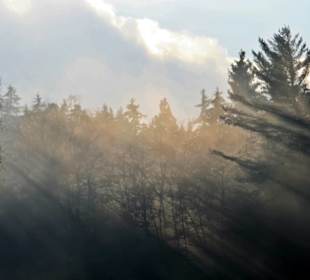 Zu jeder Jahreszeit schön