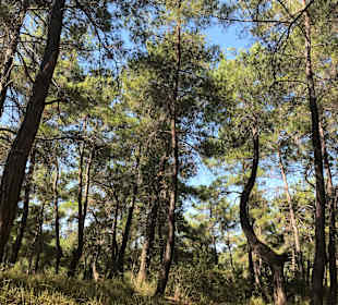 Stadtrundgang Manavgat - Kizilagac