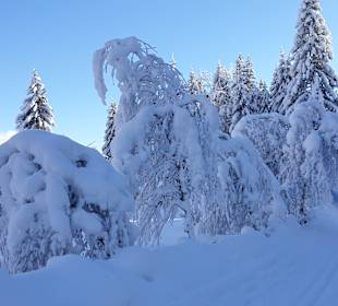 Wandern Techendorf
