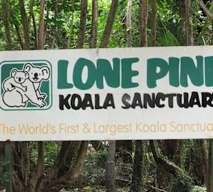 Zoobesuch bei Brisbane