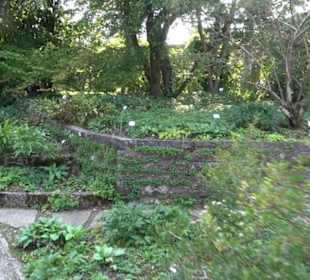 Botanischer Garten München