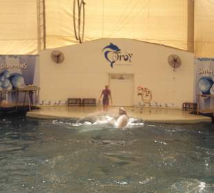 Aquapark