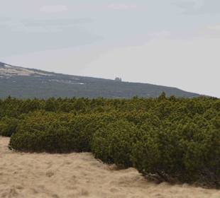 Berg Schneekoppe/Śnieżka