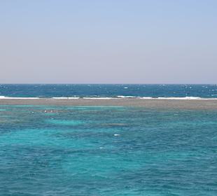 Ausflug mit Mo - Blick aufs Meer Riff