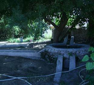 Garten des Heritage Village