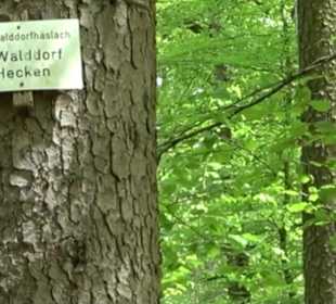 Naturpark Schönbuch