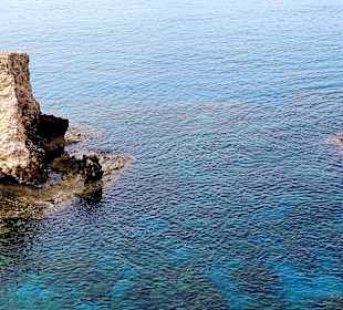 Ayia Napa Bogen Monachus Monachus