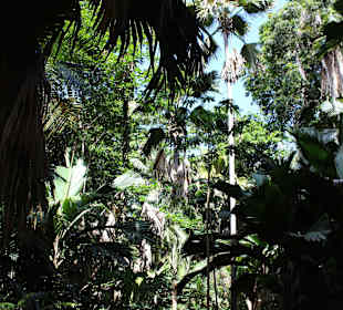Wald im Naturpark Fond Ferdinand