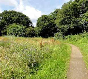 Unterwegs auf dem Huntepadd