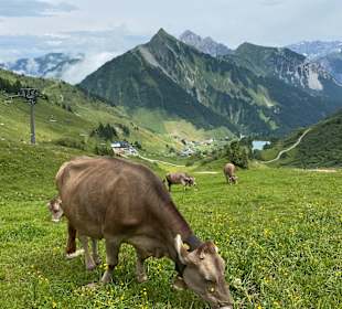 Wandern Damüls
