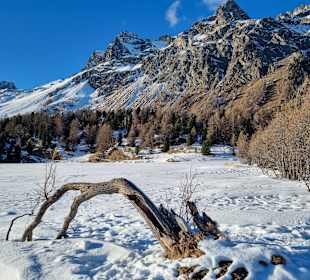 Silser See im Winter
