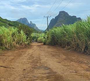Geführte Touren Andrea Rodrige