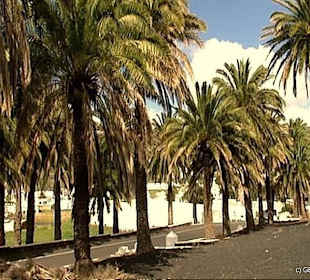 Haria, Lanzarote