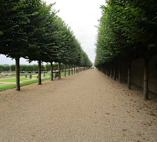  Schloss Villandry