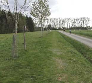 Lehrpfad Bäume des Jahres