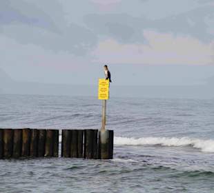 Strand Kolberg/Kolobrzeg