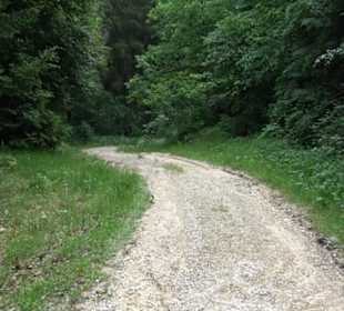 Premiumwanderweg "hochgehackert"