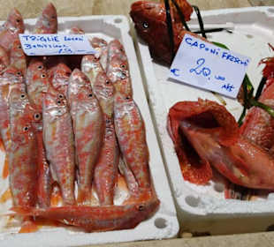 Rundgang durch den Mercato Civico di San Benedetto