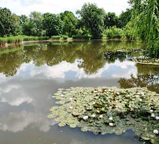 Pałac w Makowicach - staw